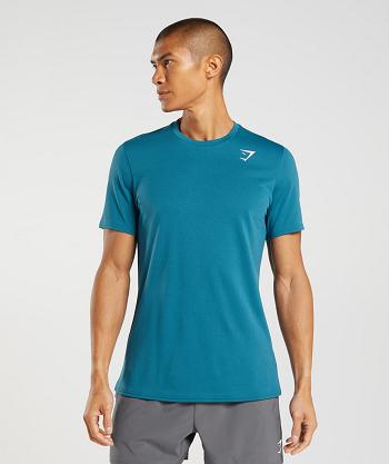 Gymshark Arrival T Shirts Herr Blå | SE 3809QMA
